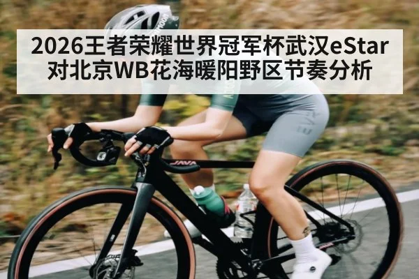 2026王者荣耀世界冠军杯武汉eStar对北京WB花海暖阳野区节奏分析