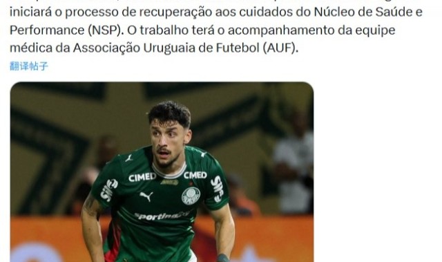 AG体育官方入口-战英格兰受伤，帕尔梅拉斯官方：乌拉圭后卫皮克雷斯脚踝韧带撕裂